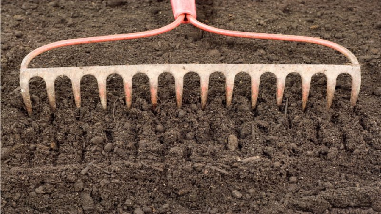 The Best Garden Rakes for Different Types of Soil